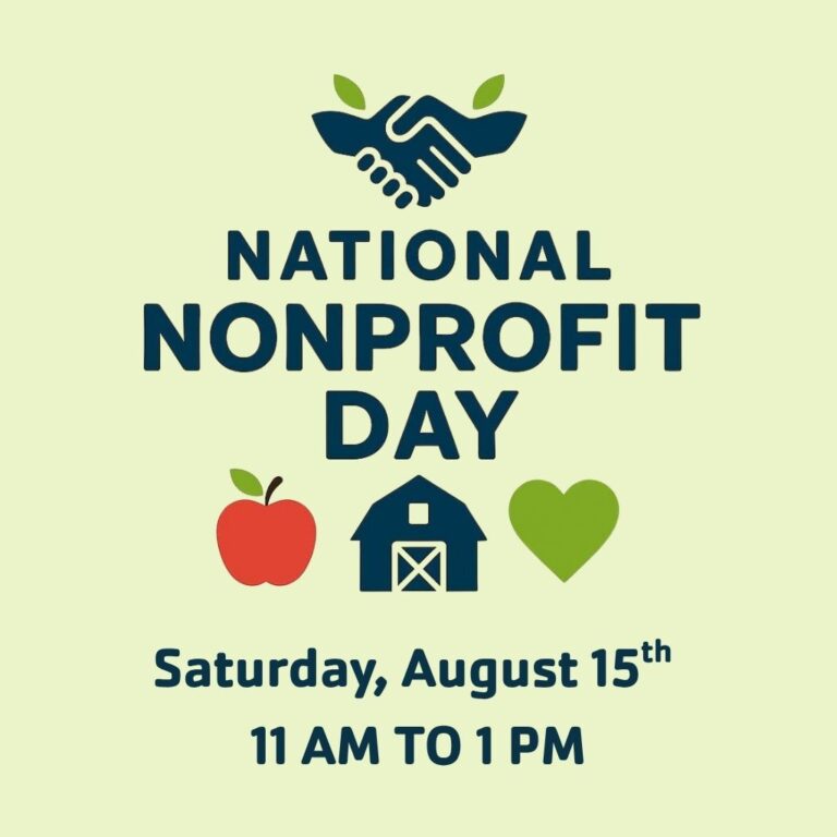 National Non Profit Day -815